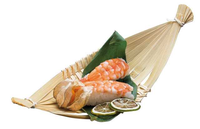 PADERNO Sushi Sunum Tabağı Küçük