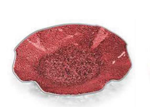 IVV Lirica Special Scalloped plate in red decorated glass silver-plated