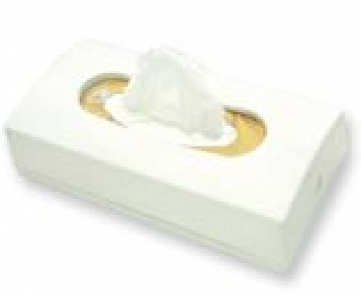 ABS Plastic Rectangular Tissue Dispenser, White