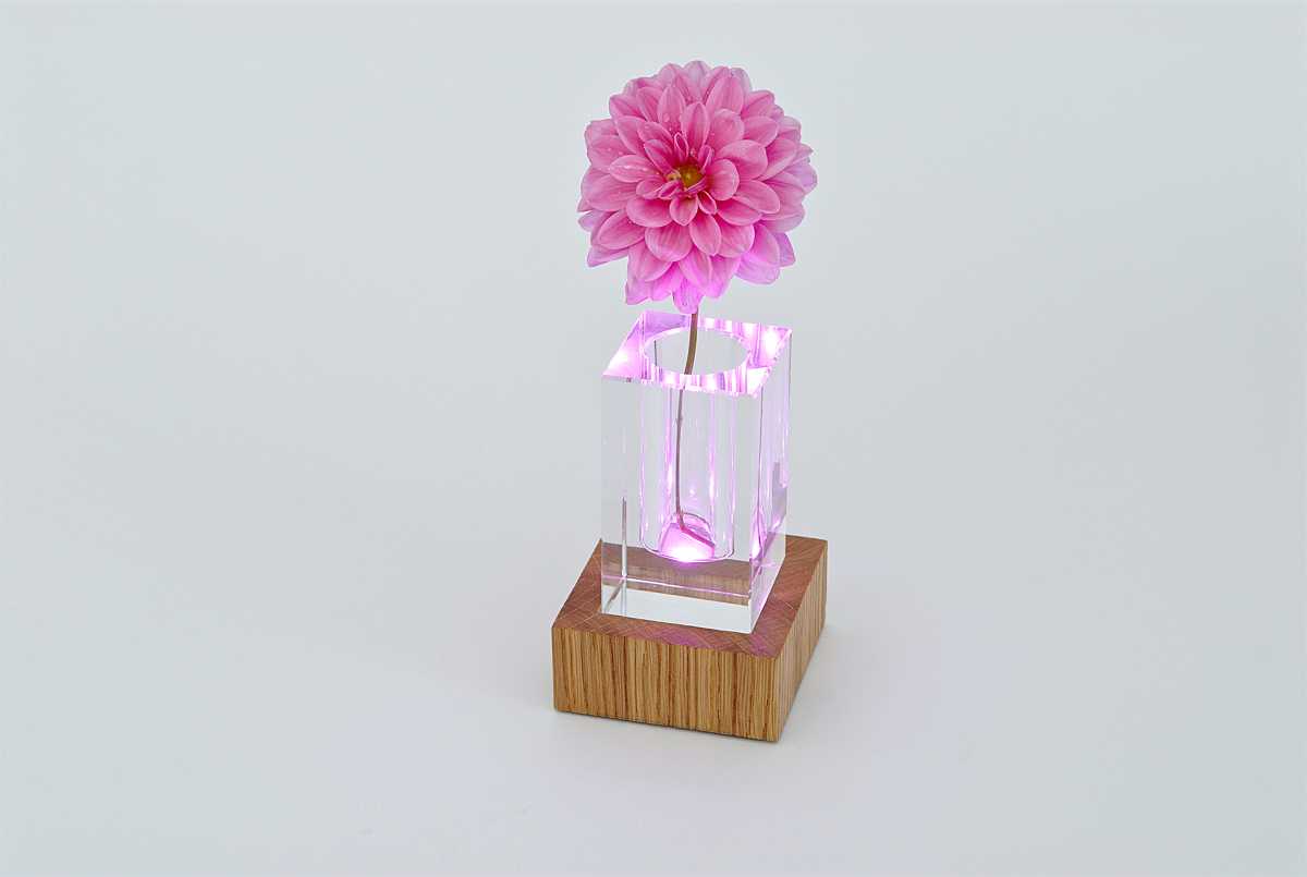 KSI  LED Vase 1 Table Lamp